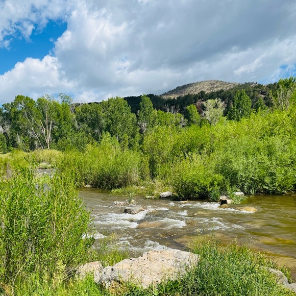 Meet your Posher, Rochelle - Picture 4 of 16